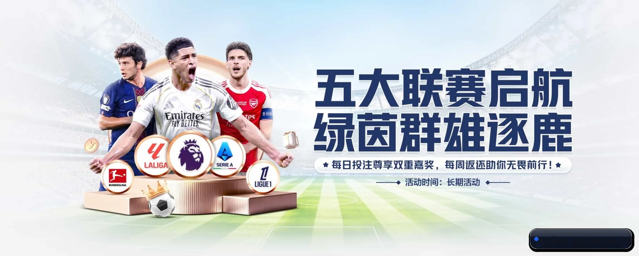 五大热门运动版块覆盖，比分与直播一站式兼顾 - 多运动项目内容板块